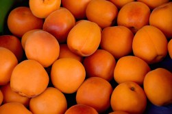 apricots-1509634_1920
